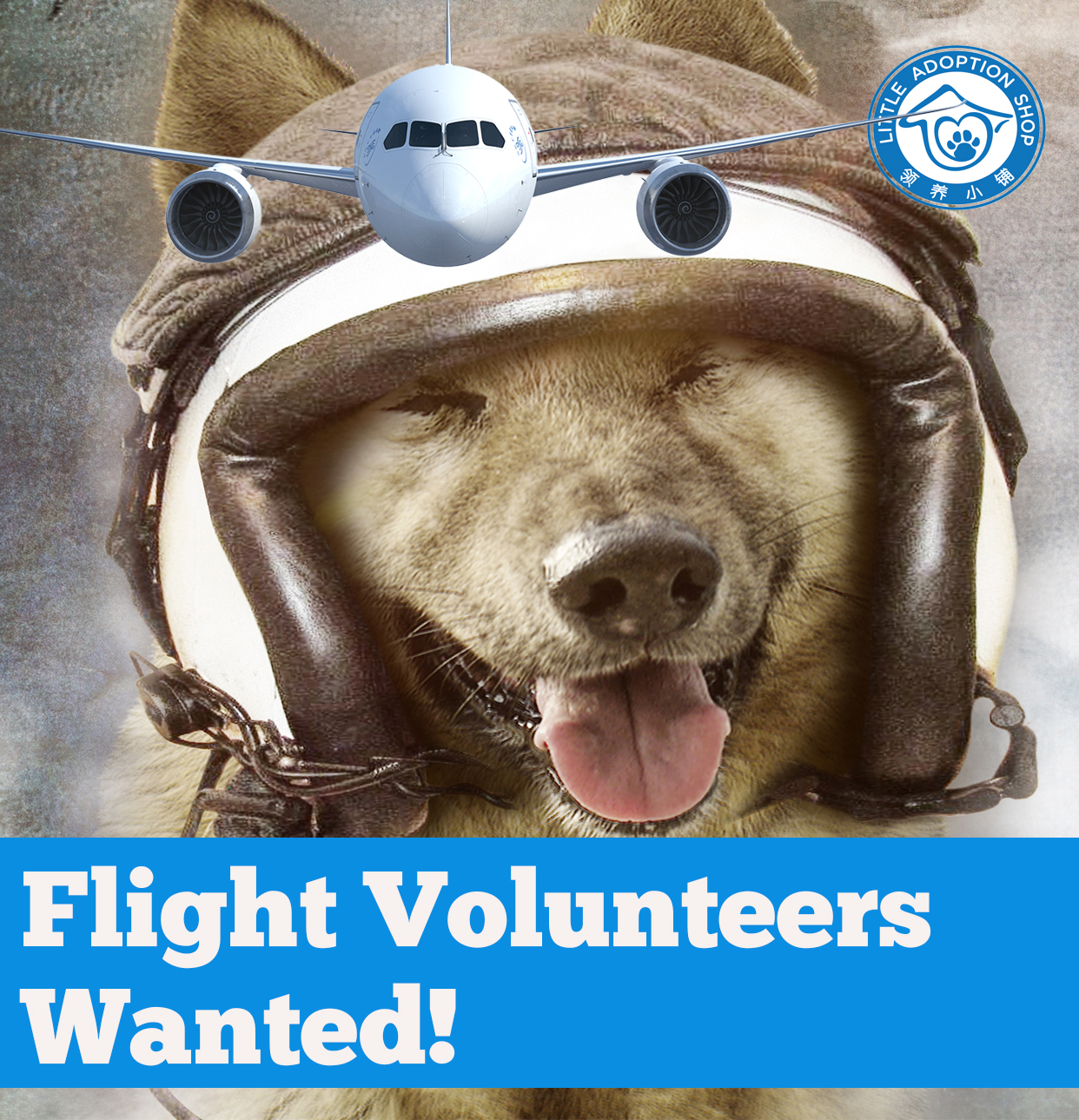 flight volunteers wanted