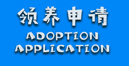 sidebar-adoption application