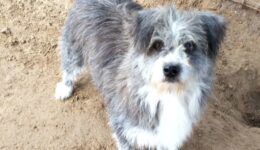 微信图片_20181005172501