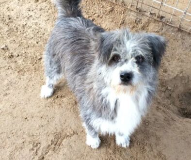 微信图片_20181005172501