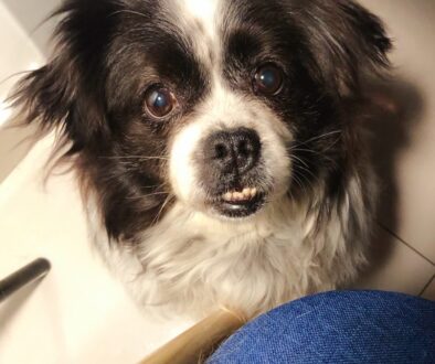 402271616246415_.pic_hd