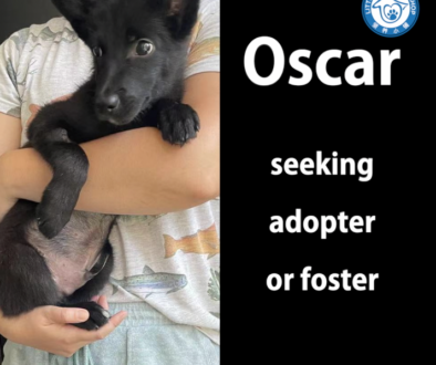 Screen Shot 2022-07-17 at 11.57.11 PM